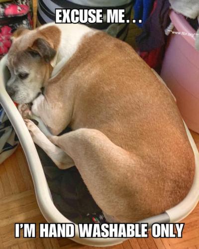 FB_IMG_1748043788605