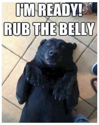 FB_IMG_1746123812768