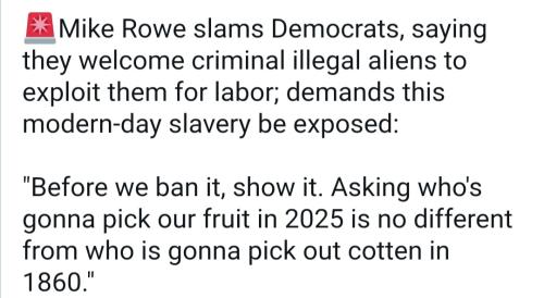 Screenshot_20250511_141639_Samsung Internet