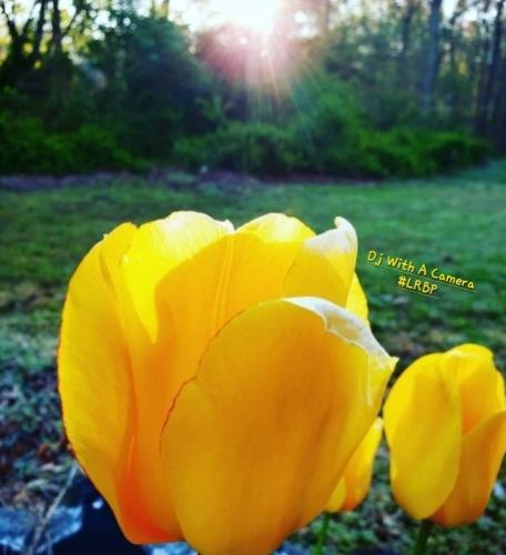 Screenshot_20250502_100919_Gallery