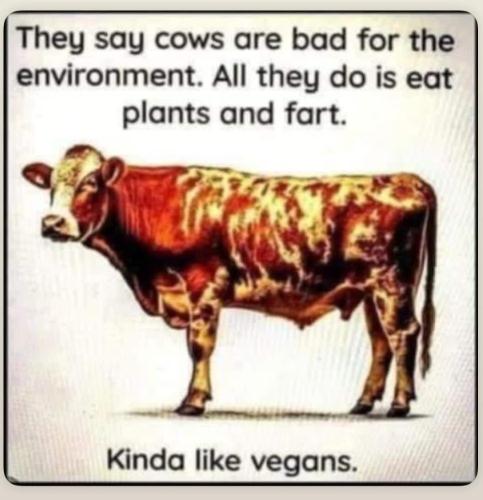 b278083d-e37d-4bec-b365-201202ea5bc8