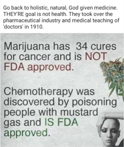 Screenshot_20230905-185626_Wimkin Free Speech Social Media