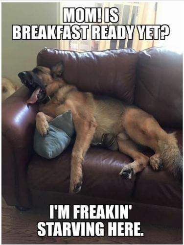 FB_IMG_1747328071718