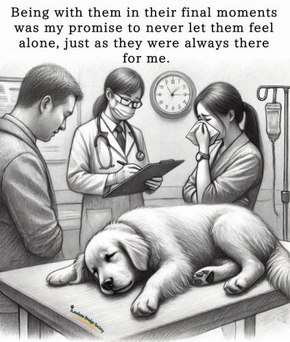 FB_IMG_1741826745566