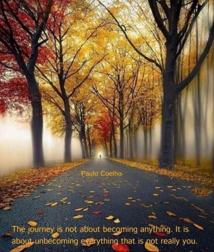 492299300_987105050203532_8260701643794703609_n