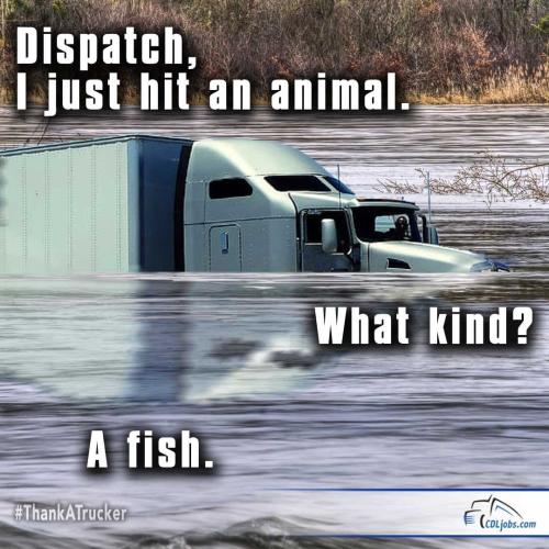 FB_IMG_1746294745872