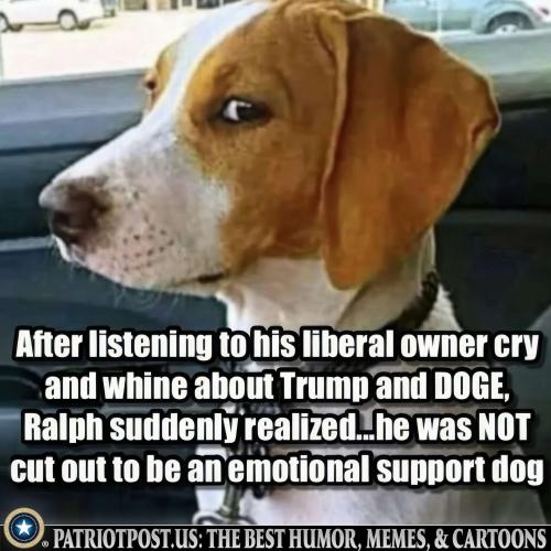 01JT93YZCG5JTXFRVV2H56TF8N