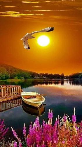 FB_IMG_1556967281815