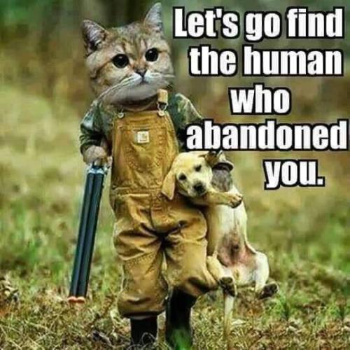 FB_IMG_1557028070646