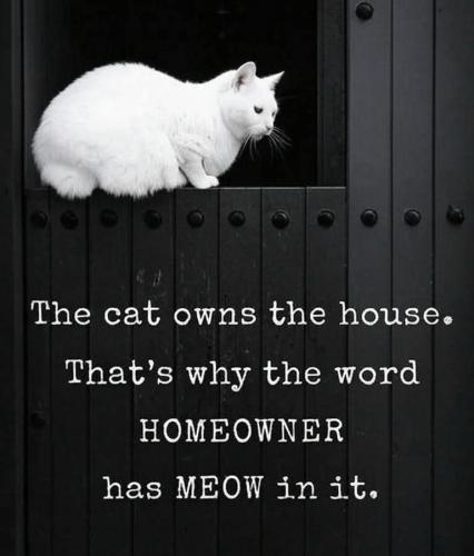 FB_IMG_1746294055676