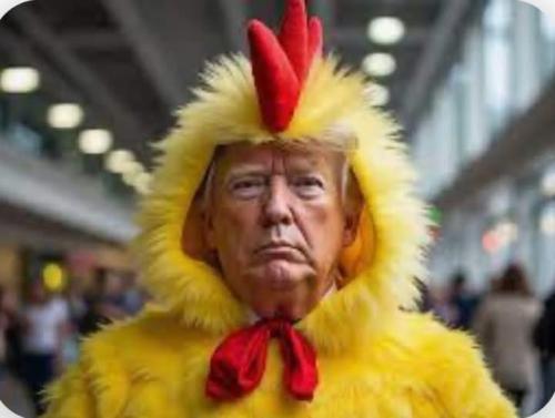 FB_IMG_1748609961934