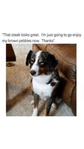 FB_IMG_1748097361820