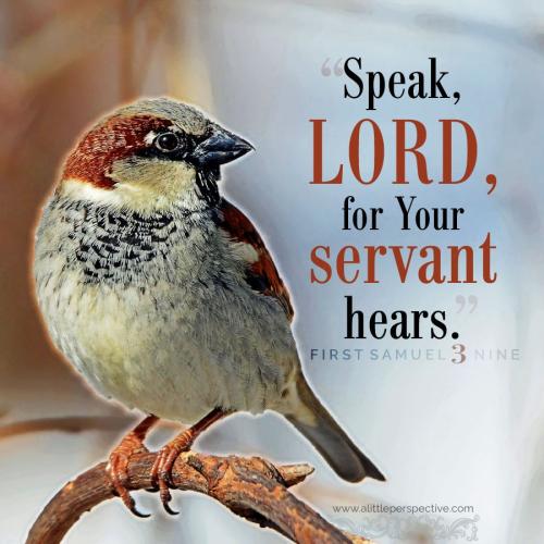 1-sam-3-9-ww-stock-9x