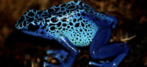 e324c1ab-390d-49f9-9773-a7be0a89a5d0