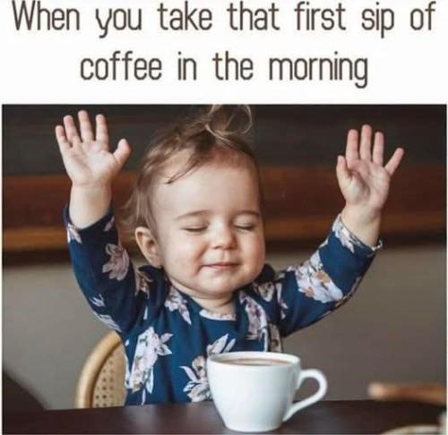 FB_IMG_1746487228468