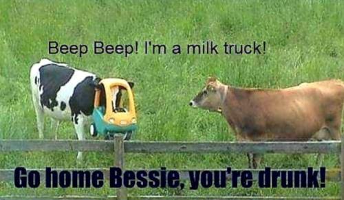 Screenshot_20250519_165128_Gallery