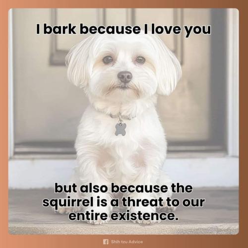 FB_IMG_1746122613105