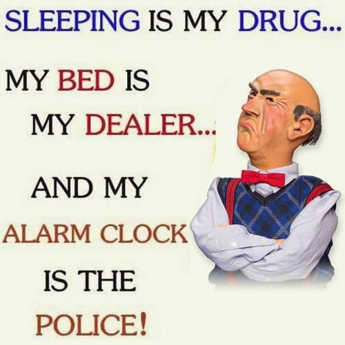 FB_IMG_1557658501564