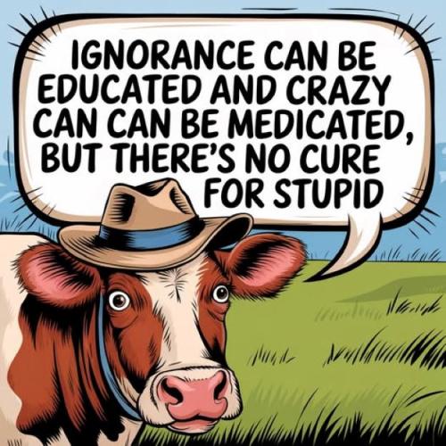 Cow Wisdom
