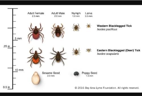 Screenshot_20250528_154130_Gallery