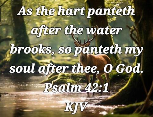 c51de798-6a1a-4568-94b3-2e24b5c531fc