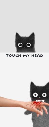 FB_IMG_1732026827466~2