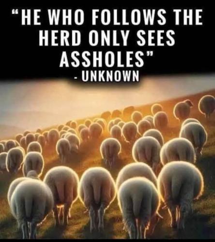 FB_IMG_1747801093772