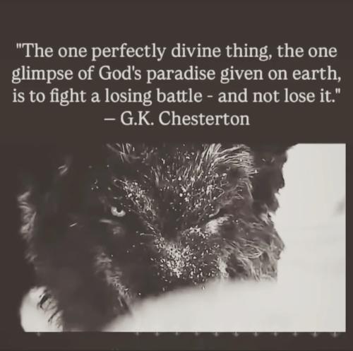 Screenshot_20250530_044302_Instagram