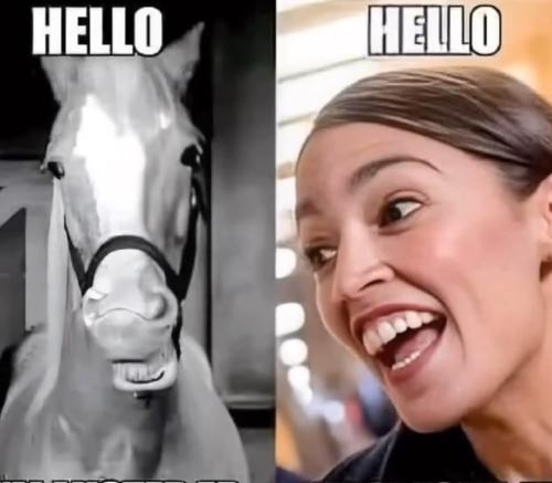 F1D04AEF-387F-46E3-BCB5-6AA6F7C17D79