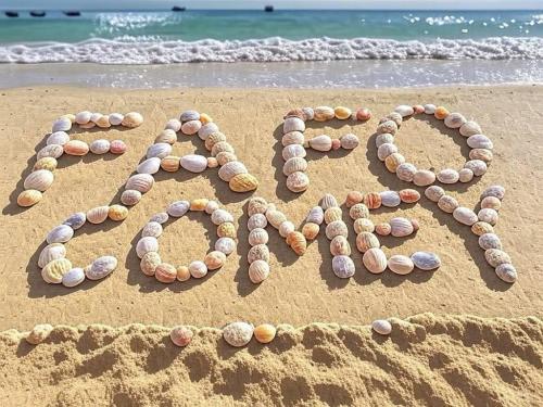 FB_IMG_1747457112817