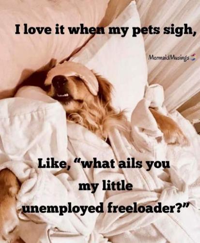 Resized_FB_IMG_1746119558653