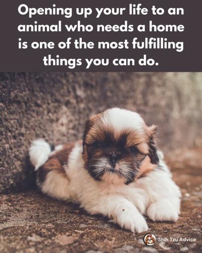 FB_IMG_1746123039814