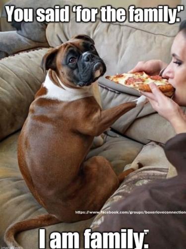 FB_IMG_1747729276202