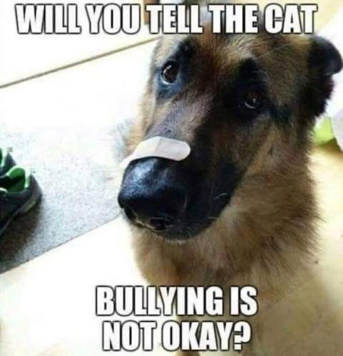 FB_IMG_1747332539747