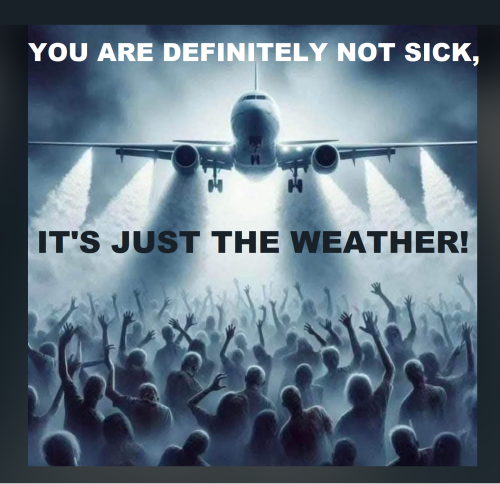 494689935_1340942716979947_3019837925322546612_n