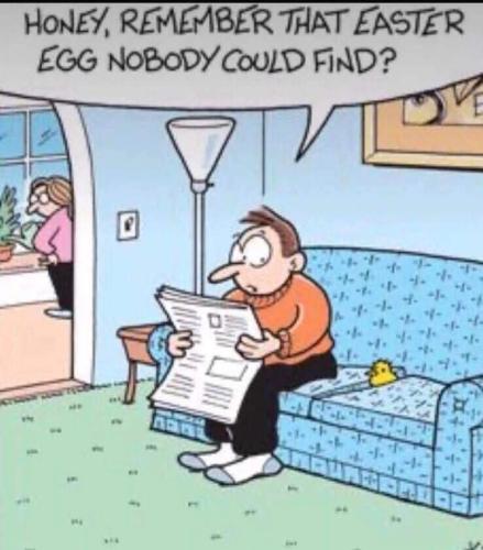 FB_IMG_1747712672129