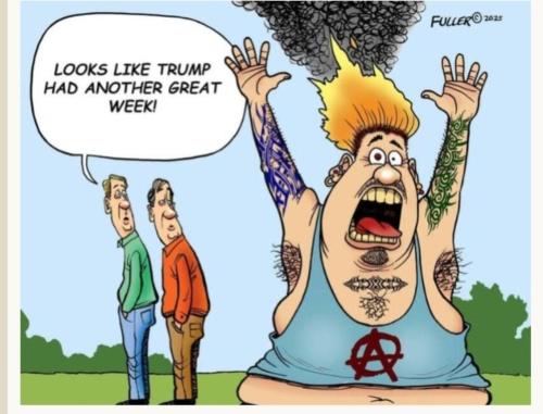 image_9C8C53DF-3616-4739-BD39-C31D0EA7A869