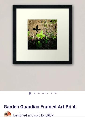 Screenshot_20250520_180322_Brave