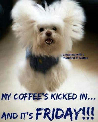 0bb827d147998d67d2272c12d682ab91