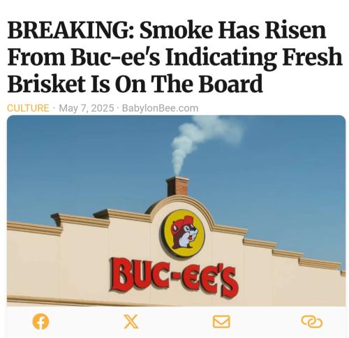 Screenshot_20250508_143526_Samsung Internet