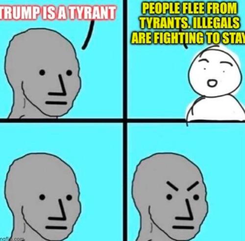 photo_2025-05-08_19-12-48