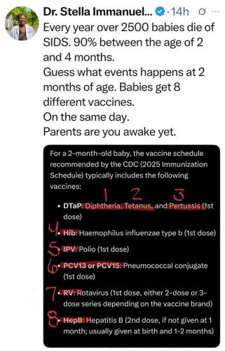 499495811_1241019054467994_4464906942454615775_n