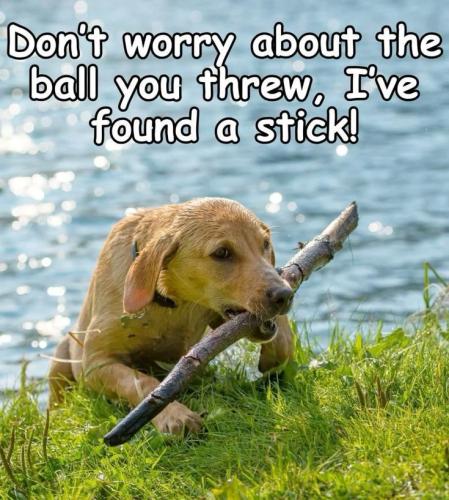 9daf199f7b0f0aa93fe939e7764a7f03