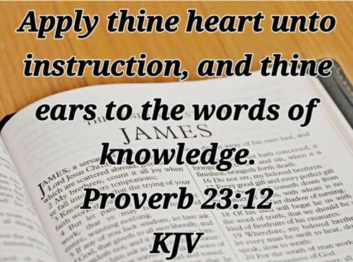 3de868cd-3889-4d34-9bbe-79f635b391c5