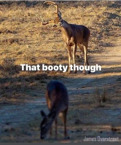 Screenshot_20250515_064855_Gallery