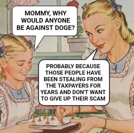 government efficiency70