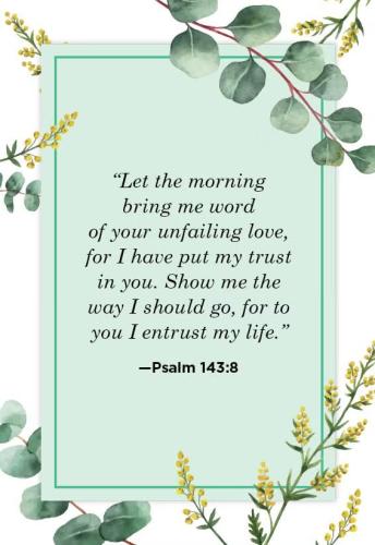 494592567_122102420894859736_3192758653763958168_n