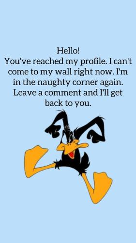 FB_IMG_1746977460318