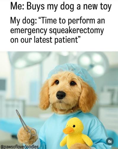 abdd9ac7f89d92bf4cfb889de9525938