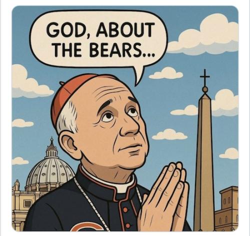 THE BEARS STILL SUCK